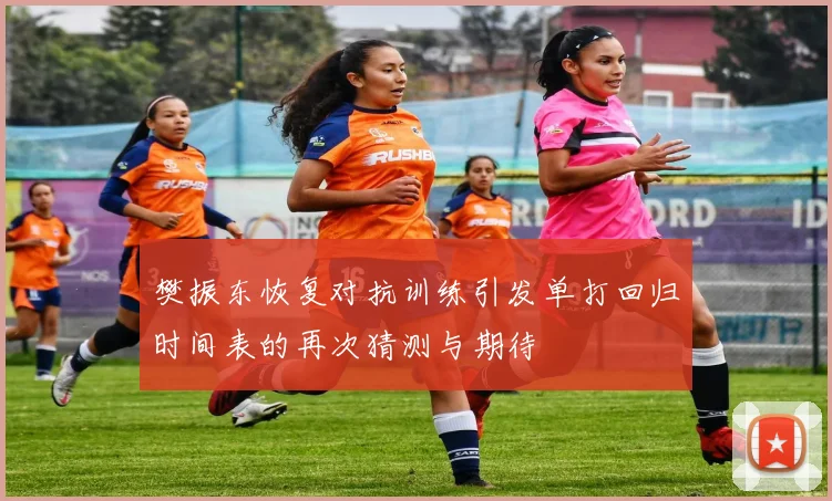 樊振东恢复对抗训练引发单打回归时间表的再次猜测与期待